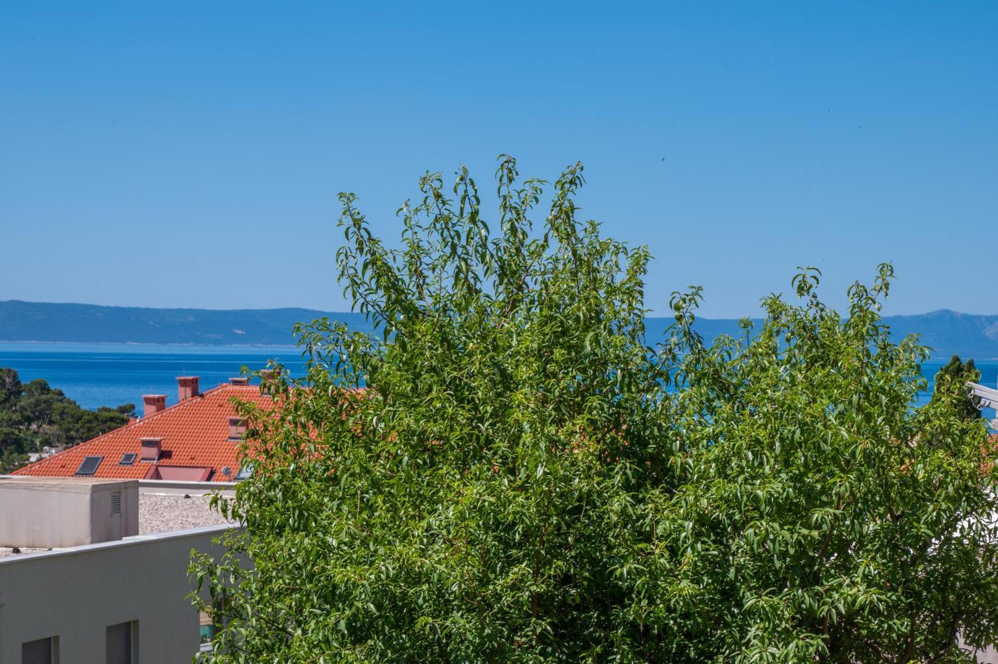 Apartmani Sani Makarska Exterior foto